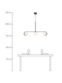 Grote hanglamp Pals met glazen lampenkappen, Baldakijn: gecoat metaal, Zwart, 100 x 20 cm