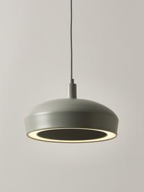 Suspension LED ronde Alva, Gris clair, Ø 28 x haut. 150 cm