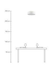 Plafondlamp Punto met visgraatpatroon, Lampenkap: kunstvezel, Baldakijn: kunststof, Wit, zilverkleurig, Ø 38 x H 13 cm