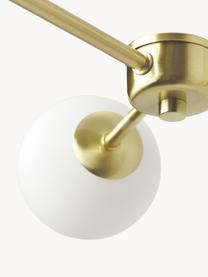 Lámpara de techo grande de vidrio opalino Aurelia, Anclaje: metal latón, Blanco, dorado, An 110 x Al 60 cm