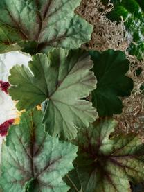 Douchegel Molton (geranium), Houder: recyclebare kunststof, Groen, B 6 x H 15 cm