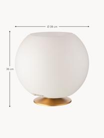 Lampada da tavolo LED con luce regolabile, altoparlante e glacette Bluetooth Sphere, Paralume: polietilene, Struttura: metallo rivestito, Bianco, dorato, Ø 38 x Alt. 36 cm