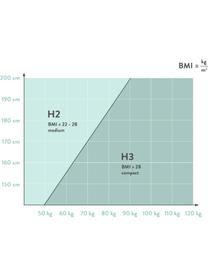 Łóżko kontynentalne Enya, Nogi: tworzywo sztuczne, Szara tkanina, S 140 x D 200 cm, stopień twardości H2