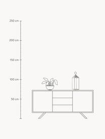 Mobile Dimmbare LED-Aussenleuchte Cargo, Weiss, Transparent, B 14 x H 67 cm