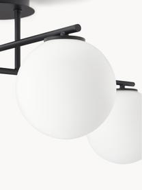 Lampada da soffitto in vetro opale Atlanta, Struttura: metallo spazzolato, Baldacchino: metallo verniciato a polv, Bianco, nero, Larg. 65 x Alt. 30 cm