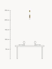 Pendelleuchte Dynamics, Lampenschirm: Glas, Aluminium, beschich, Baldachin: Aluminium, beschichtet, Transparent, Goldfarben, Ø 8 x H 56 cm