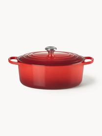 Cocotte oval de hierro fundido Signature Collection, Hierro esmaltado, Tonos rojos, An 31 cm, 6,3 L