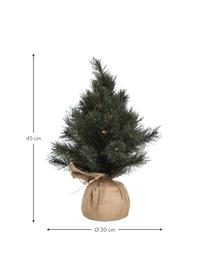 Árbol de Navidad artificial Malmo, Agujas: plastico, Verde, Ø 30 x Al 45 cm