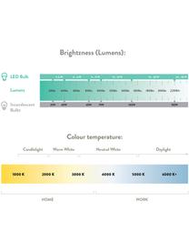 E14 Leuchtmittel, 120lm, warmweiß, 1 Stück, Leuchtmittelschirm: Glas, Leuchtmittelfassung: Aluminium, Transparent, Ø 4 x H 10 cm