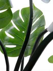 Planta artificial Minto, Fibra sintética, Verde, negro, Ø 112 x Al 150 cm