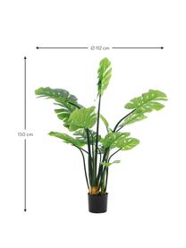 Planta artificial Minto, Fibra sintética, Verde, negro, Ø 112 x Al 150 cm