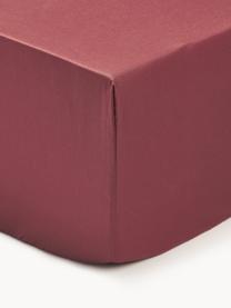 Lenzuolo con angoli boxspring in raso di cotone Premium, Rosso vino, Larg. 180 x Lung. 200 cm, Alt. 35 cm