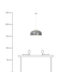 Retro-Pendelleuchte Miry, Lampenschirm: Metall, beschichtet, Baldachin: Metall, Grau, Ø 50 x H 28 cm