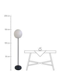 Lámpara de pie regulable para exterior Luny, portátil, Pantalla: polietileno, Blanco, negro, Ø 30 x Al 150 cm