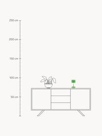 Lampada da tavolo portatile a LED luce regolabile Olivia Pro, Lampada: alluminio rivestito, Verde chiaro, Ø 11 x Alt. 22 cm