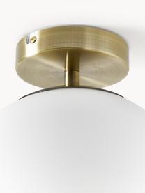 Lampada da soffitto piccola in vetro Hitch, Baldacchino: metallo ottonato, Paralume: vetro, Bianco, dorato, Ø 25 x Alt. 30 cm