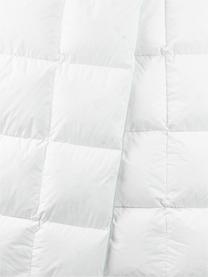 Daunen-Bettdecke Comfort, warm, Hülle: 100% Baumwolle, feine Mak, Warm, B 135 x L 200 cm