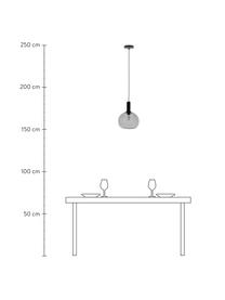 Lámpara de techo pequeña de vidrio ahumado Alton, Pantalla: vidrio, Estructura: metal recubierto, Anclaje: metal recubierto, Cable: cubierto en tela, Gris transparente, Ø 25 x Al 33 cm