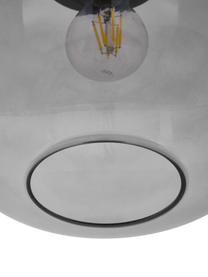 Lámpara de techo pequeña de vidrio ahumado Alton, Pantalla: vidrio, Estructura: metal recubierto, Anclaje: metal recubierto, Cable: cubierto en tela, Gris transparente, Ø 25 x Al 33 cm