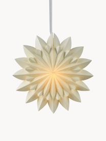 Stella luminosa a LED Felix, varie misure, Carta riciclata

Questo prodotto è realizzato con legno di provenienza sostenibile e certificato FSC®, Bianco crema, Larg. 40 x Alt. 40 cm