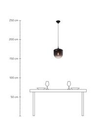 Kleine Pendelleuchte Magia aus Glas, Lampenschirm: Glas, Baldachin: Metall, beschichtet, Schwarz, Ø 25 x H 32 cm