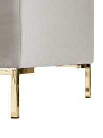 Samt-Ecksofa Luna, Bezug: Samt (Polyester) Der hoch, Gestell: Massives Buchenholz, Füße: Metall, galvanisiert, Samt Greige, B 280 x T 184 cm, Eckteil links