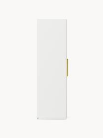 Armario modular Simone, 1 puerta (50 cm), diferentes variantes, Estructura: tablero aglomerado revest, Madera, beige claro, Interior Basic (An 50 x Al 200 cm)