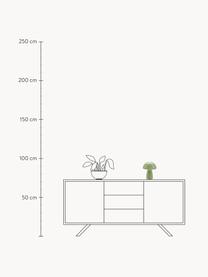 Lámpara de mesa pequeña de vidrio Mushroom, Lámpara: vidrio, Cable: plástico, Verde claro, Ø 19 x Al 23 cm