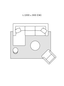 Schimmernder Viskoseteppich Grace in Premium-Qualität, extra weich, Flor: 100% Viskose, Grau, B 200 x L 300 cm (Grösse L)