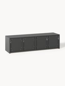 Credenza bassa con fronte millerighe Shea, Pannello di fibra a media densità (MDF) laccato, certificato FSC

Questo prodotto è realizzato con legno di provenienza sostenibile e certificato FSC®., Grigio scuro, Larg. 150 x Alt. 41 cm