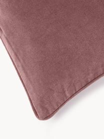 Samt-Kissenhülle Dana, 100 % Baumwolle

Das in diesem Produkt verwendete Material ist schadstoffgeprüft und zertifiziert nach STANDARD 100 by OEKO-TEX®, 21.HCN.84376, Hohenstein, Mauve, B 30 x L 50 cm