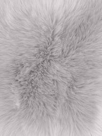 Federa arredo in soffice ecopelliccia liscia color grigio chiaro Mathilde, Retro: 100% poliestere, Grigio chiaro, Larg. 30 x Lung. 50 cm
