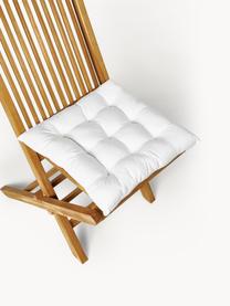 Cojines de asiento Ava, 2 uds., Funda: 100% algodón, Blanco, An 40 x L 40 cm