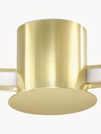 Lampada da soffitto grande a LED fatta a mano Tim, Dorato lucido, Larg. 78 x Alt. 13 cm