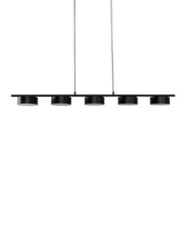 Große LED-Pendelleuchte Lenny, Baldachin: Metall, beschichtet, Schwarz, 124 x 80 cm