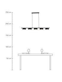 Große LED-Pendelleuchte Lenny, Baldachin: Metall, beschichtet, Schwarz, 124 x 80 cm