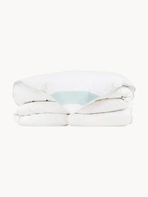 Zuiver donzen cassette-dekbed Premium, warm, Warm, B 200 x L 200 cm