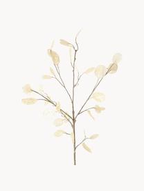 Branche décorative Laluna, Plastique, Tons beiges, larg. 15 x haut. 91 cm