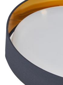 LED plafondlamp Mallory, Diffuser: kunststof, Donkerblauw, Ø 41 x H 10 cm