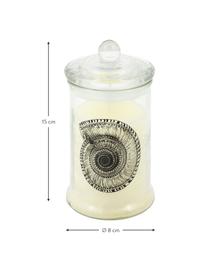 Bougie parfumée Remember (musc), Verre, cire, Noir, blanc, Ø 8 cm x haut. 15 cm