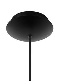 Lámpara de techo pequeña Roccamena, Pantalla: acero pintado, Anclaje: acero pintado, Cable: plástico, Negro, Ø 13 x Al 30 cm