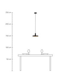 Malé závěsné svítidlo Garni, Černá, Ø 25 cm, V 15 cm