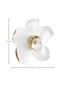 Wandobject Orchid in de kleuren wit/goud, Polyresin, Wit, goudkleurig, B 25 cm x H 24 cm