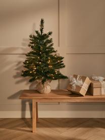 Albero di Natale piccolo con luci a LED Forest, Verde, Ø 61 x Alt. 90 cm