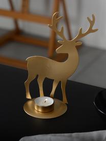 Teelichthalter Deer in Goldfarben, Metall, beschichtet, Goldfarben, B 14 x H 21 cm