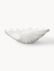 Servierschale Shell aus Dolomit in Muschelform, Dolomit, Off White, B 34 x T 24 cm