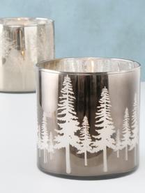 Photophore Noël en verre Skove, 2 élém., Couleur argentée, gris, brillant