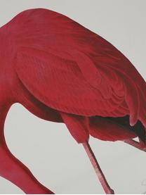 Lienzo enmarcado Flamingo, Multicolor, An 83 x Al 114 cm