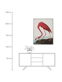 Lienzo enmarcado Flamingo, Multicolor, An 83 x Al 114 cm