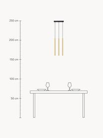 Suspension Fideus, Doré, haute brillance, larg. 30 x haut. 90 cm